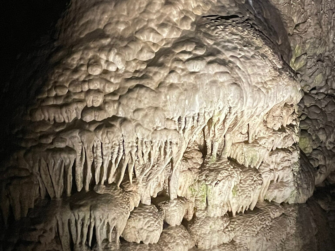 Lower Cave Tour-卡尔斯巴德洞穴国家公园必去景点