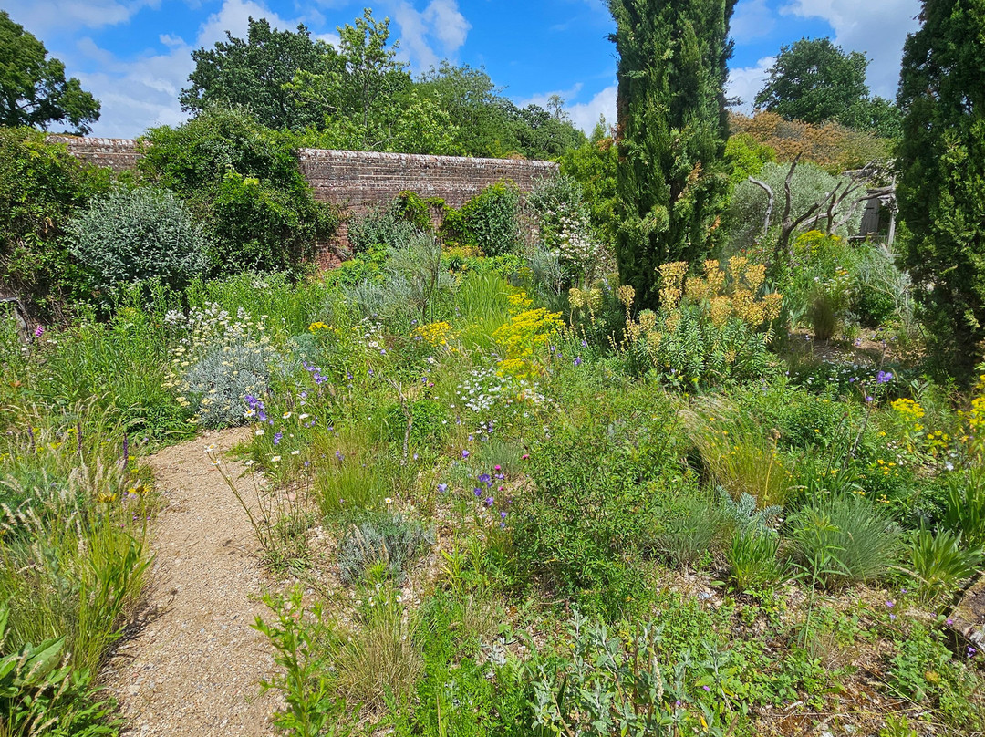 Knepp Rewilded Walled Garden-West Grinstead必去景点