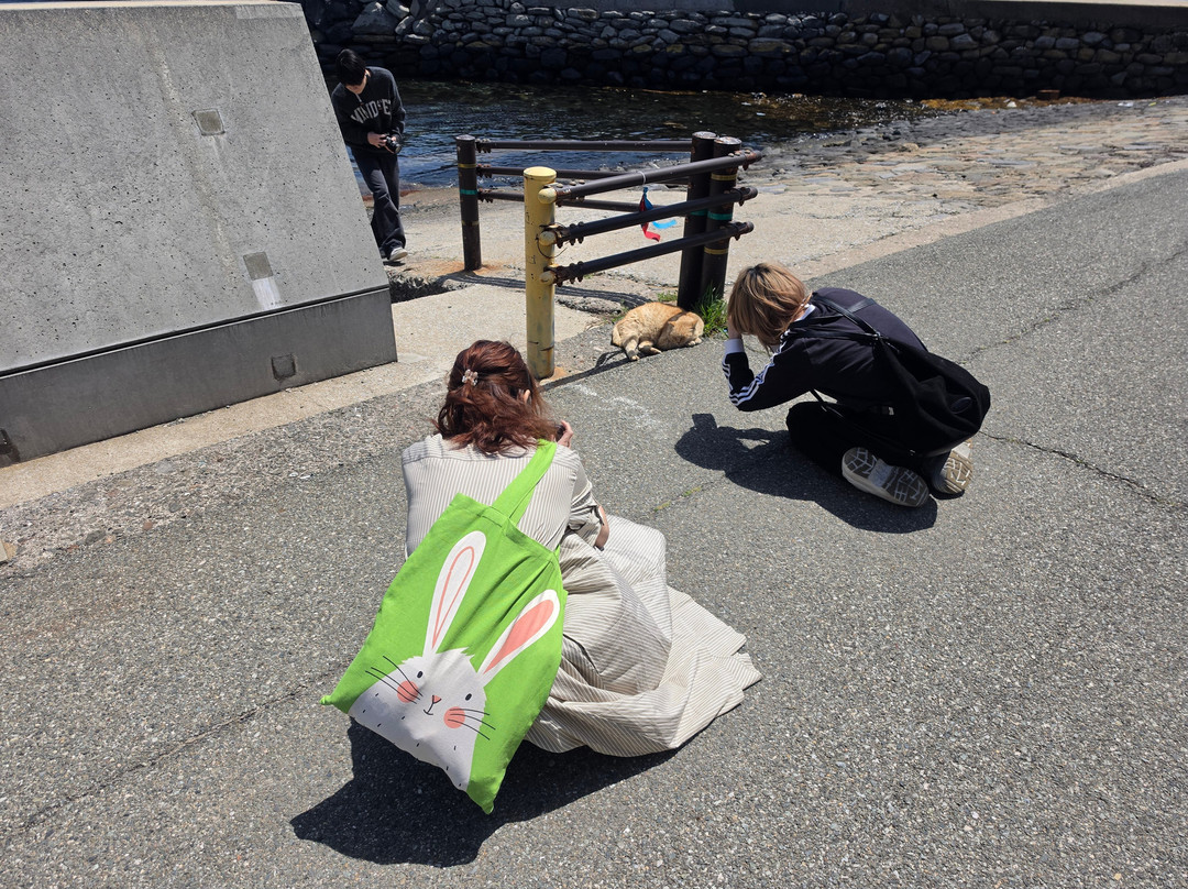 Ainoshima Island-新宫町必去景点