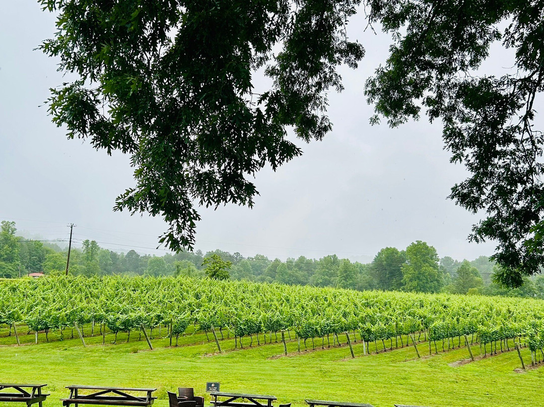 Bear Claw Vineyards-蓝岭必去景点