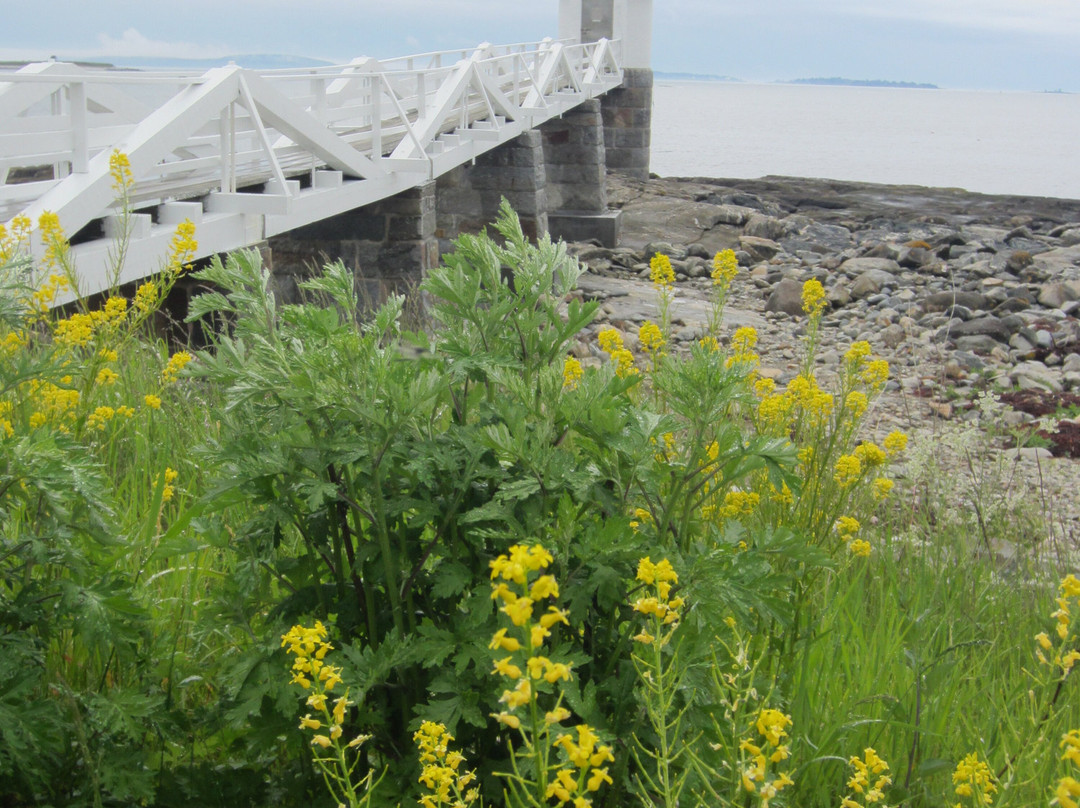 Marshall Point Lighthouse Museum-Port Clyde必去景点
