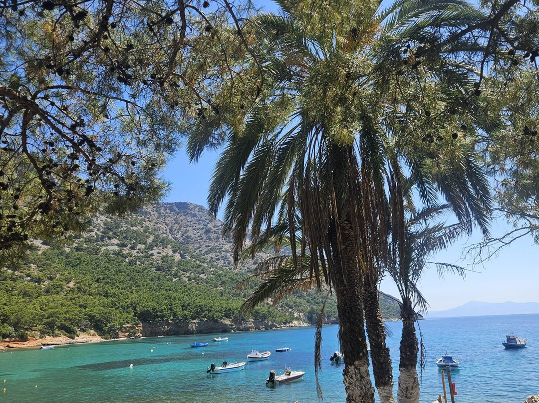Samos Dream Tours-Kokkari必去景点