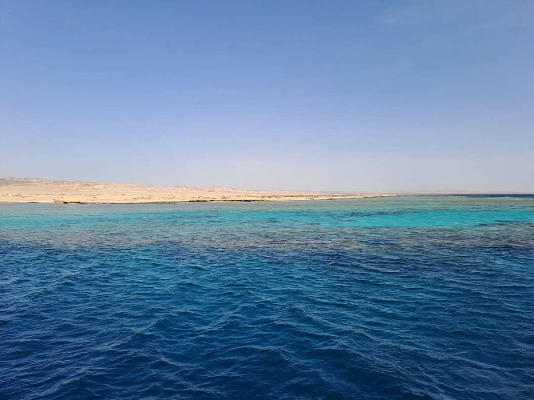 Wadi El Gemal National Park-马萨阿拉姆必去景点