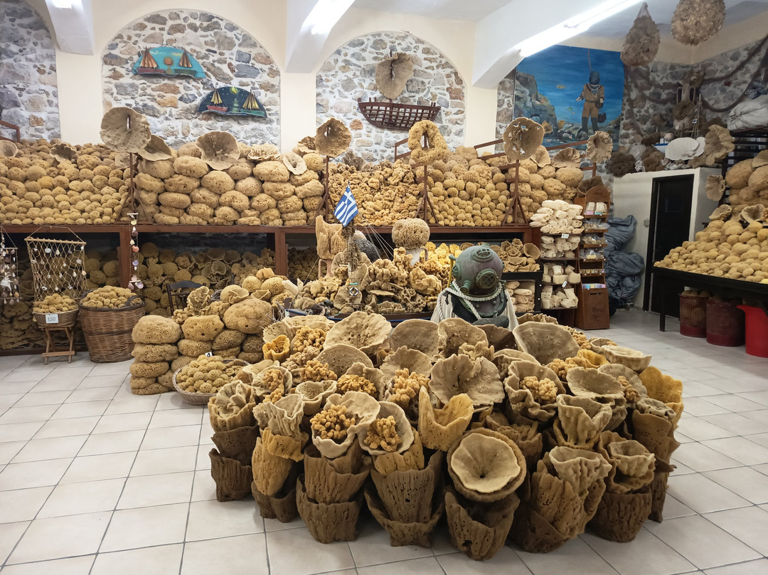Factory of Natural Sponges-Pothia必去景点