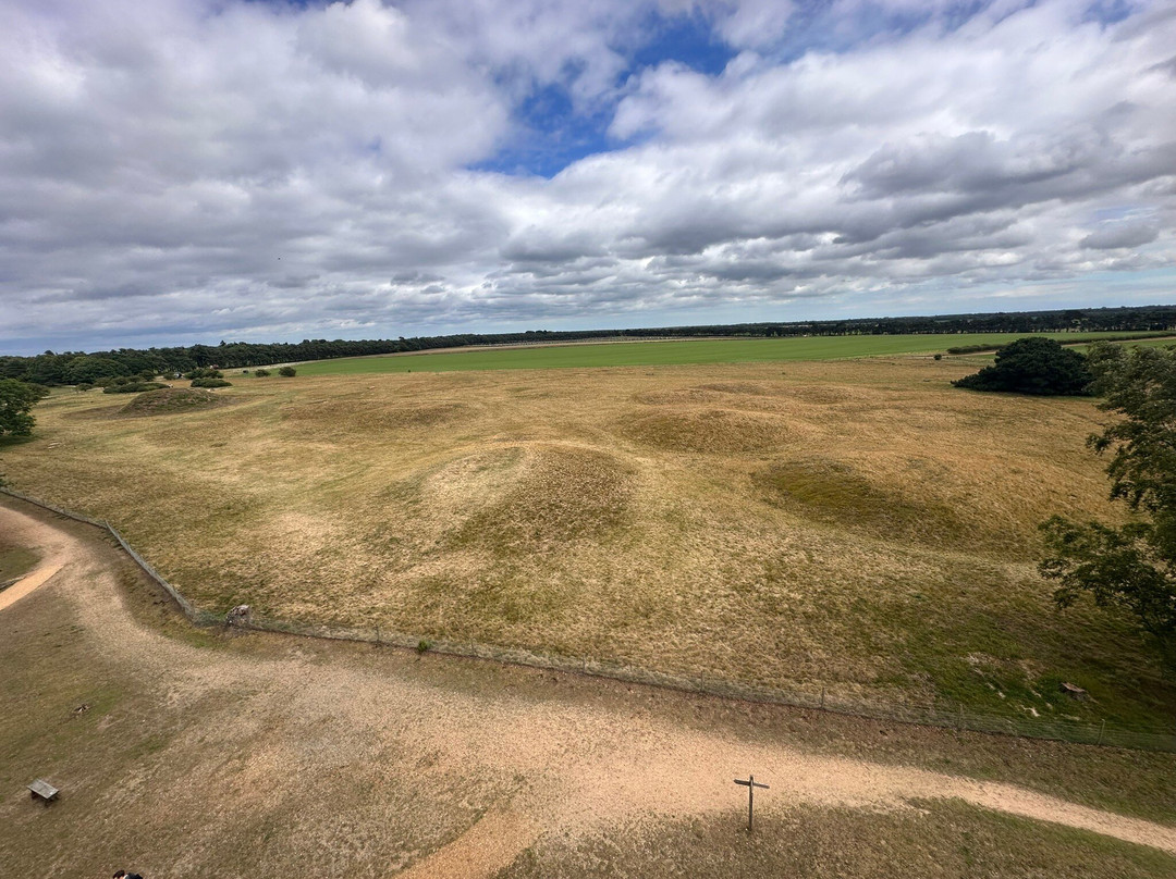 Sutton Hoo-Woodbridge必去景点