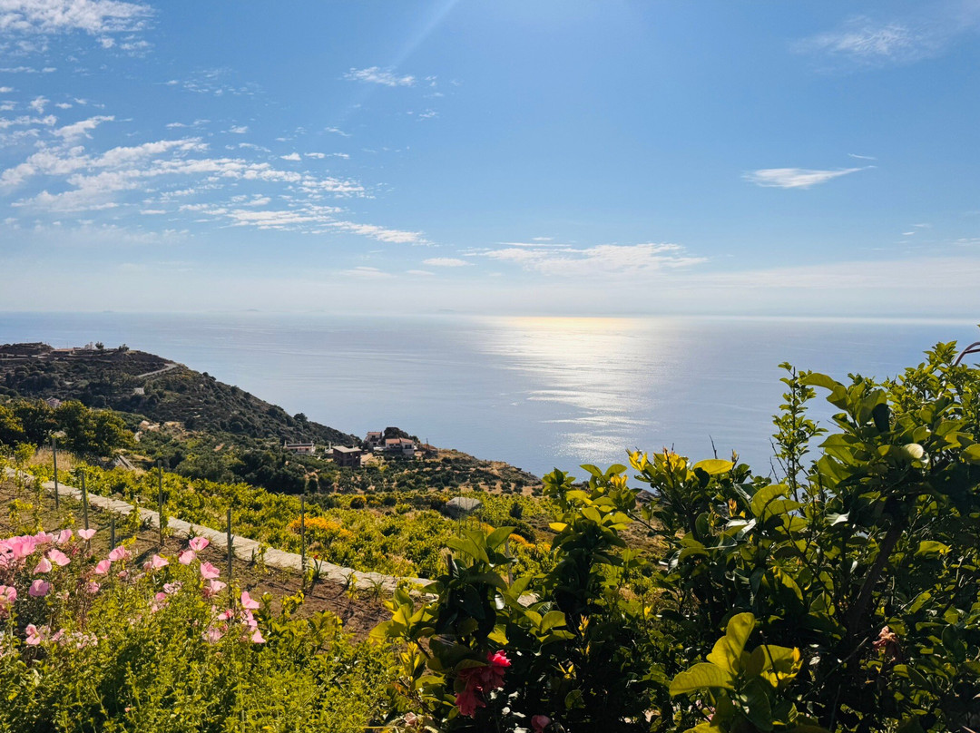 Tsantiris Winery-Proespera必去景点
