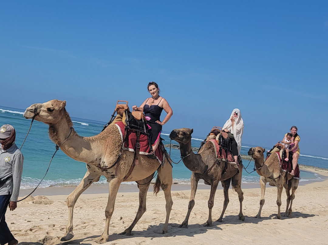 Bali Customized Tours-Batubulan必去景点
