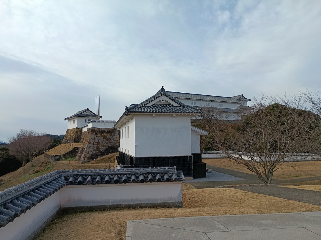 Tomioka Castle-苓北町必去景点