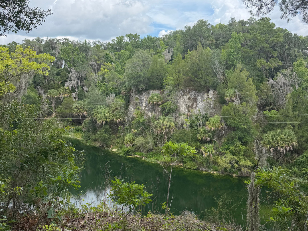 Canyons Zip Line & Canopy Tours-奥卡拉必去景点