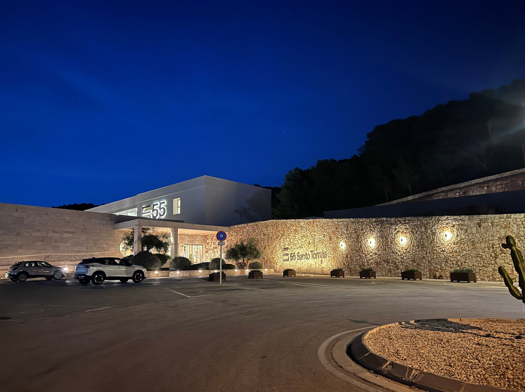 圣托马斯 55 号赛斯酒店主图
