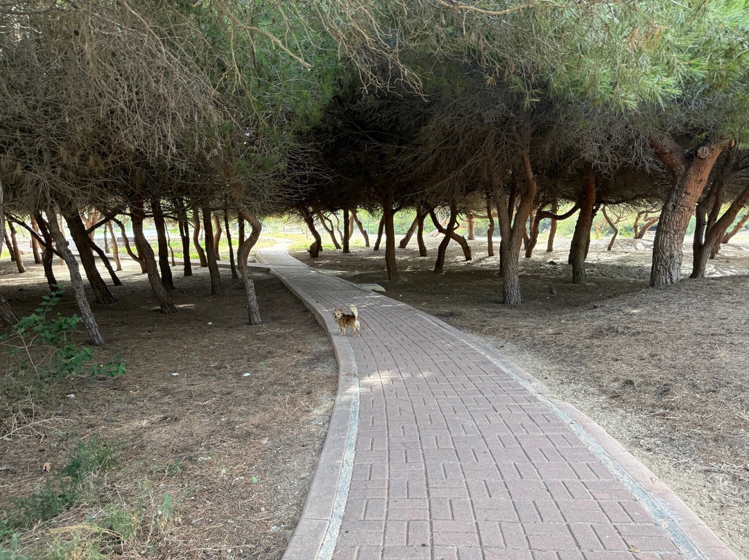 Parque del Molino de Agua-托雷维耶哈必去景点