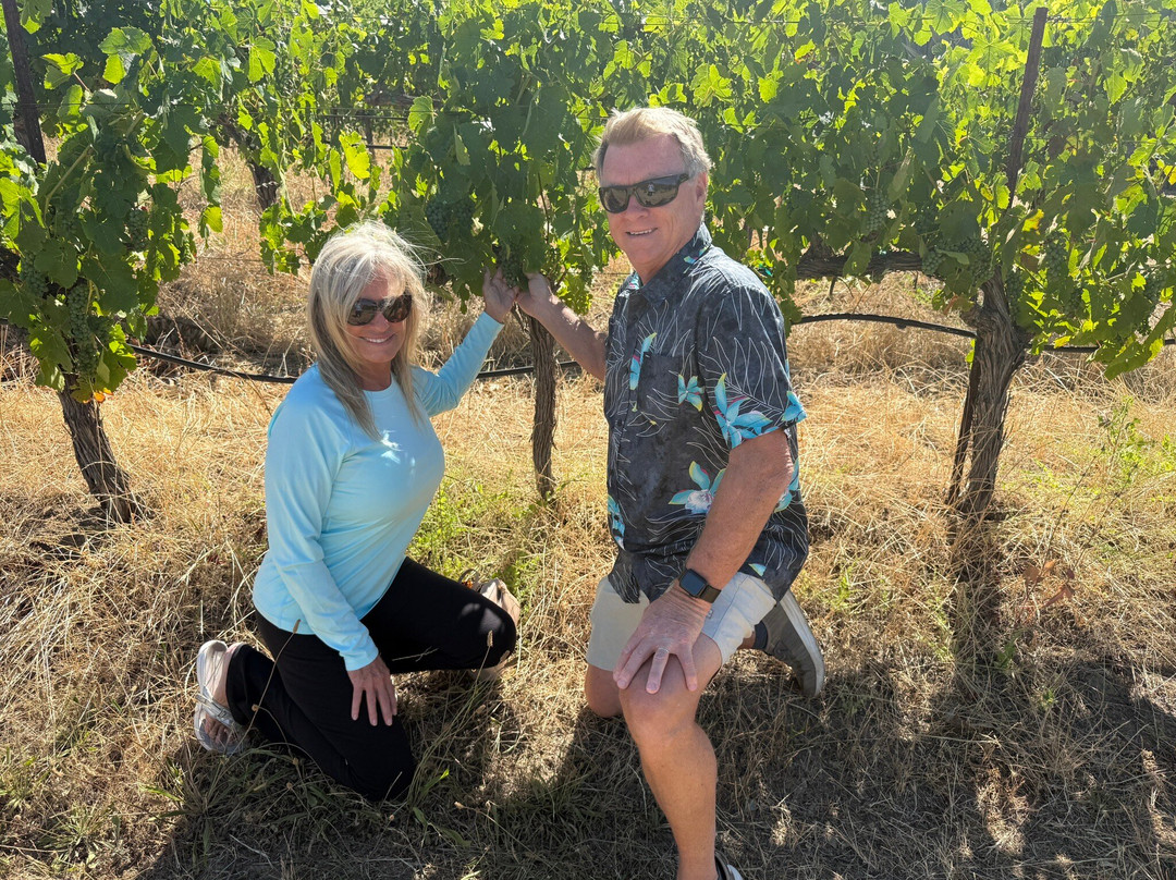 J. Rickards Winery-Cloverdale必去景点