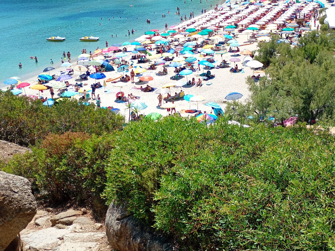 Spiaggia di Cavoli-Seccheto必去景点