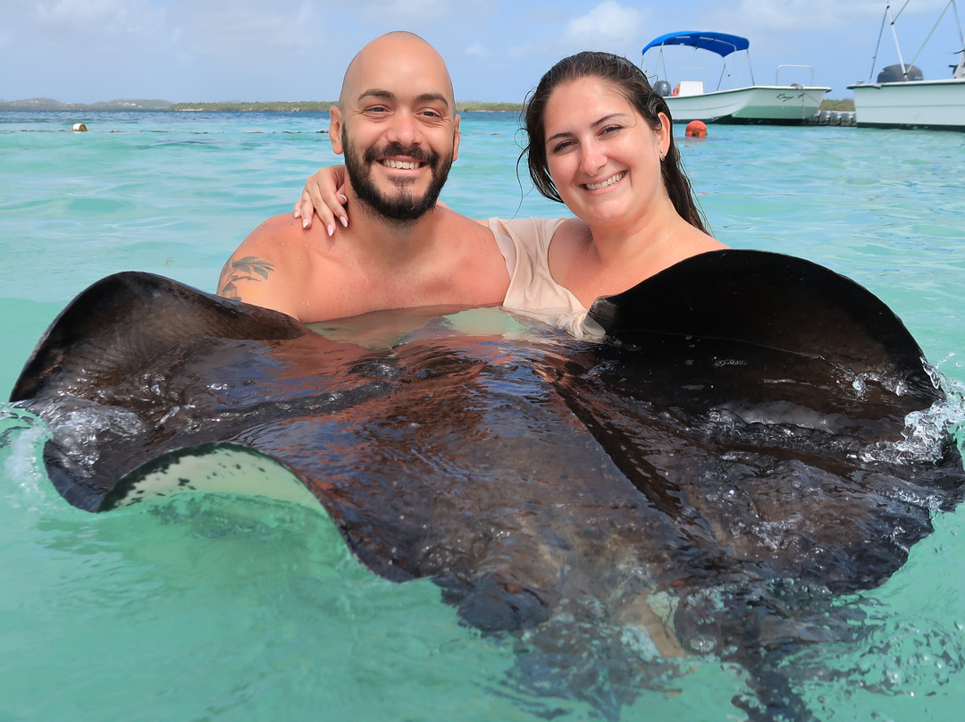 Antigua Chiama Italia Tour-Jolly Harbour必去景点