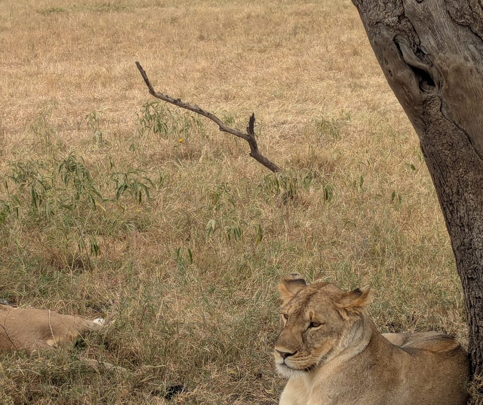 BADGER ADVENTURES TOURS & SAFARI-Arusha Chini必去景点