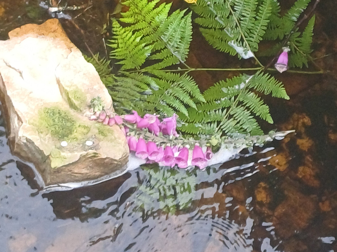 Glenevin Waterfall-Clonmany必去景点