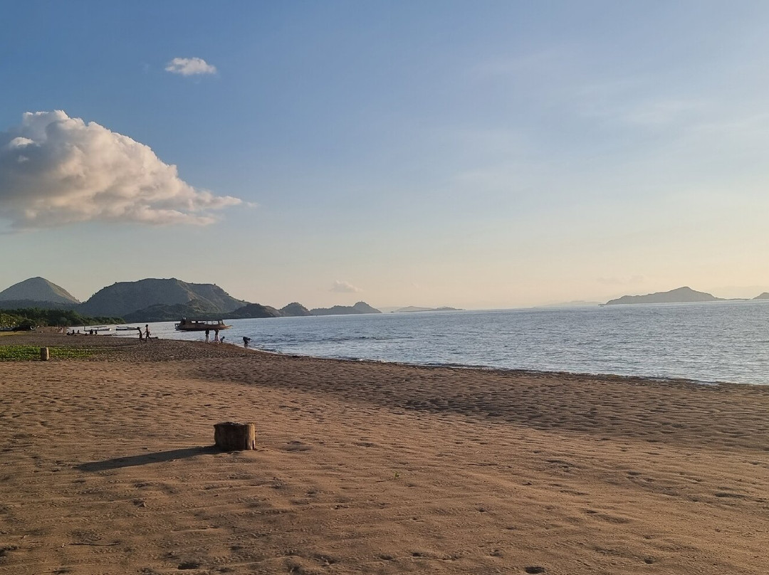 普里纱丽海滩酒店主图