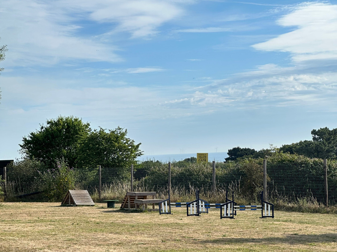Seaview Dog Meadow-Wiveton必去景点