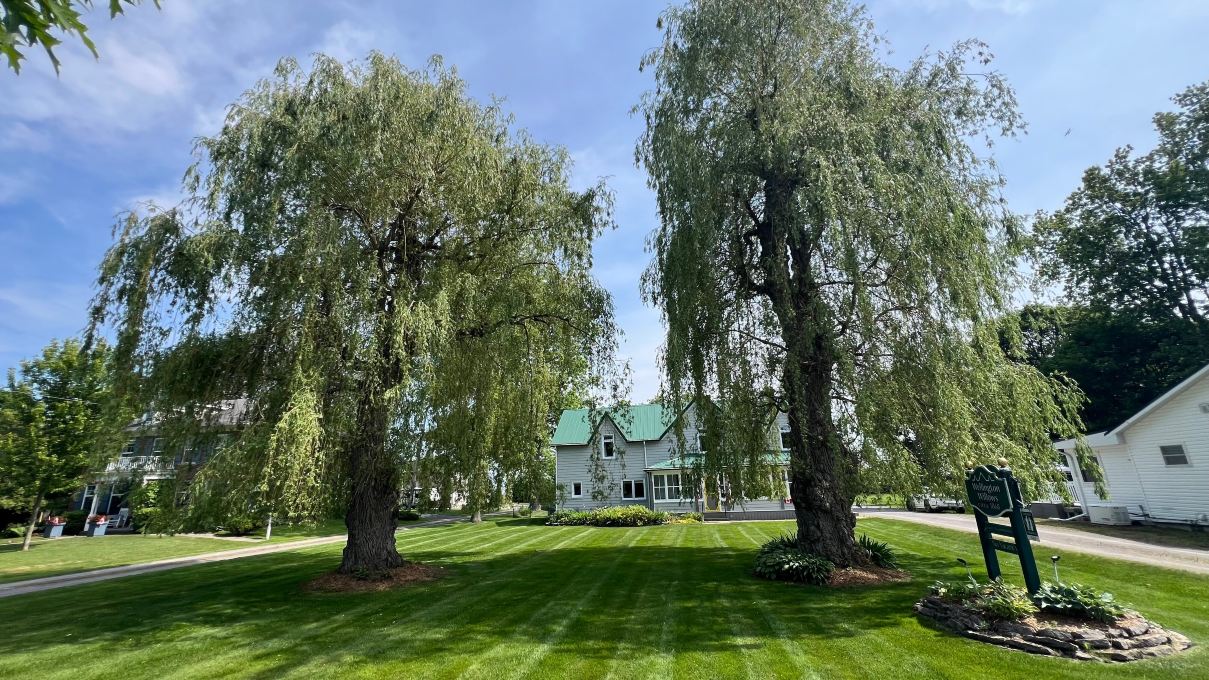 Wellington Willows Boutique B&B-旅行者