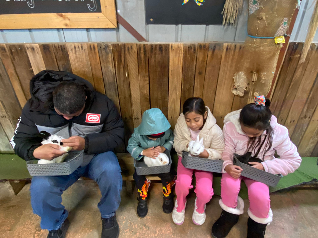 Animal Land Children's Farm-Diggers Rest必去景点