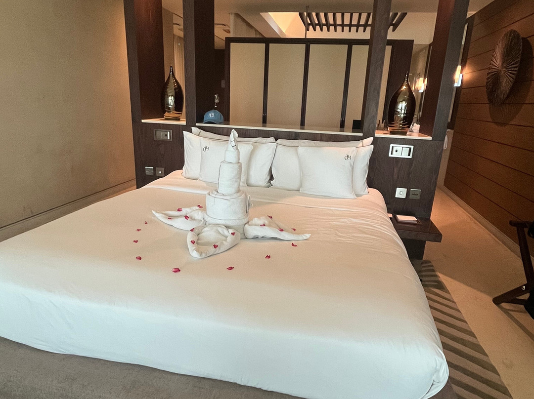 美利亚Meliá Collection沙漠棕榈主图