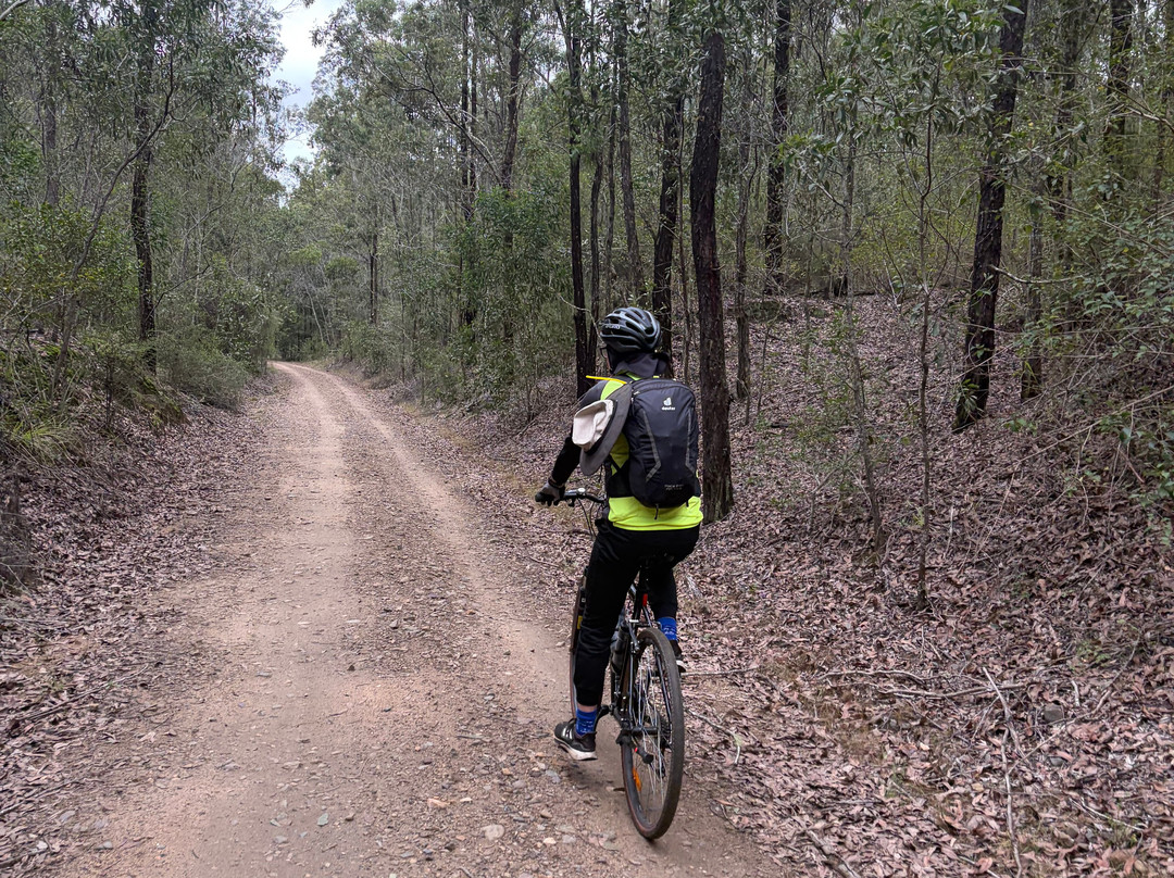 Out There Cycling-Blackbutt必去景点