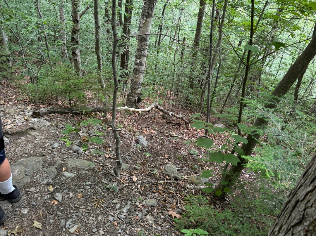 Money Brook Trail-威廉斯敦必去景点