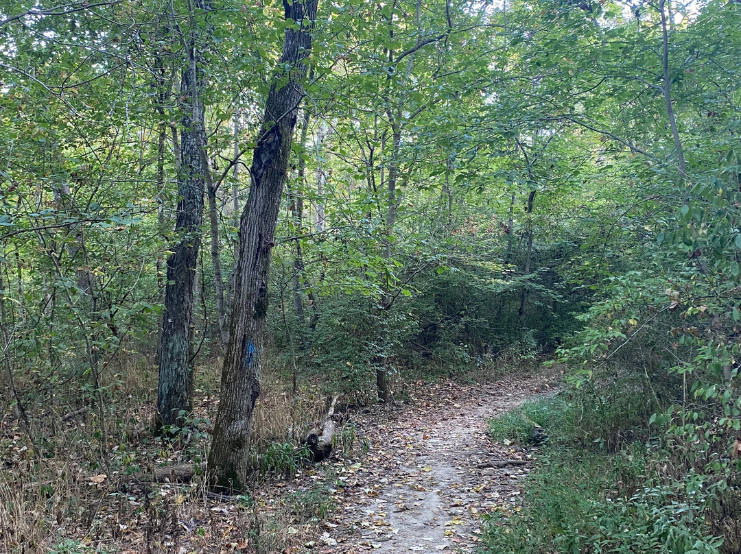A.W. Marion State Park-Circleville必去景点