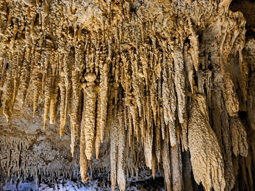 Go Caving Bonaire-Kralendijk必去景点