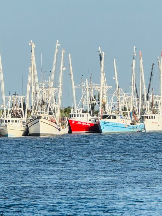 达里恩海滨旅馆-旅行者