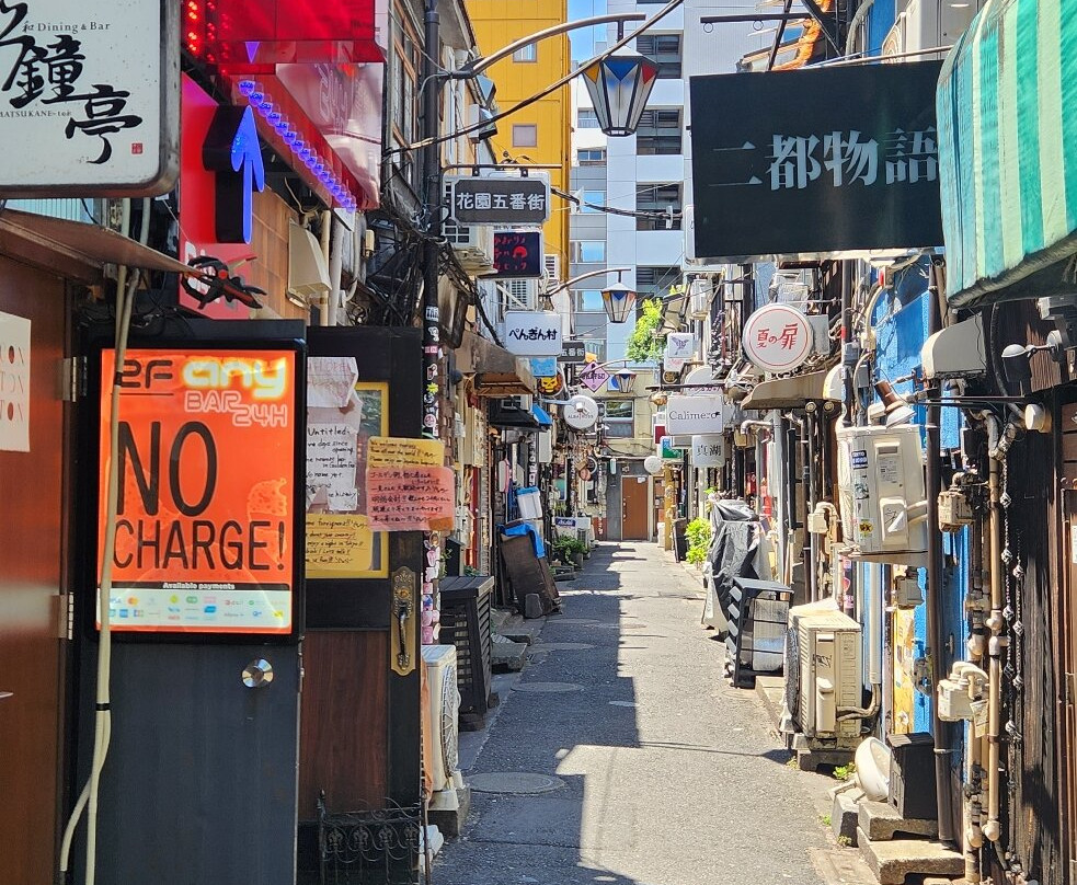 新宿黄金街-Kabukicho必去景点