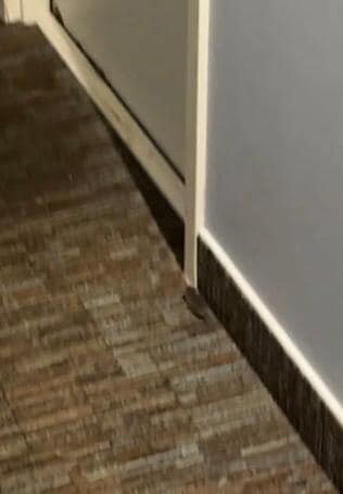 波尔多湖原生酒店-度假村/酒店