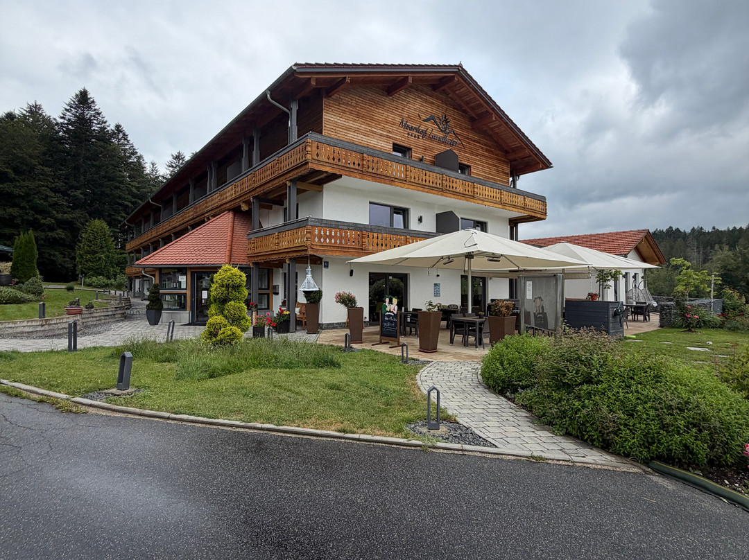 沼泽酒店主图
