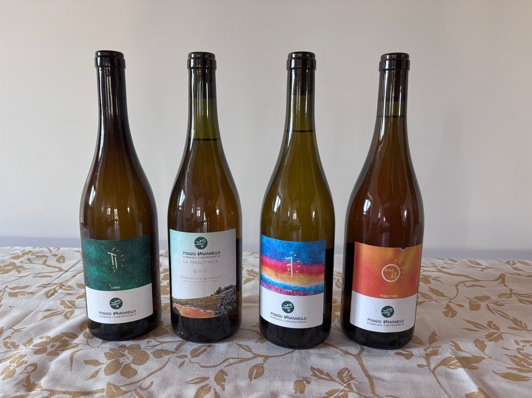 Poggio Bbaranèllo -Vignaioli Controvento-蒙特菲亚斯科内必去景点