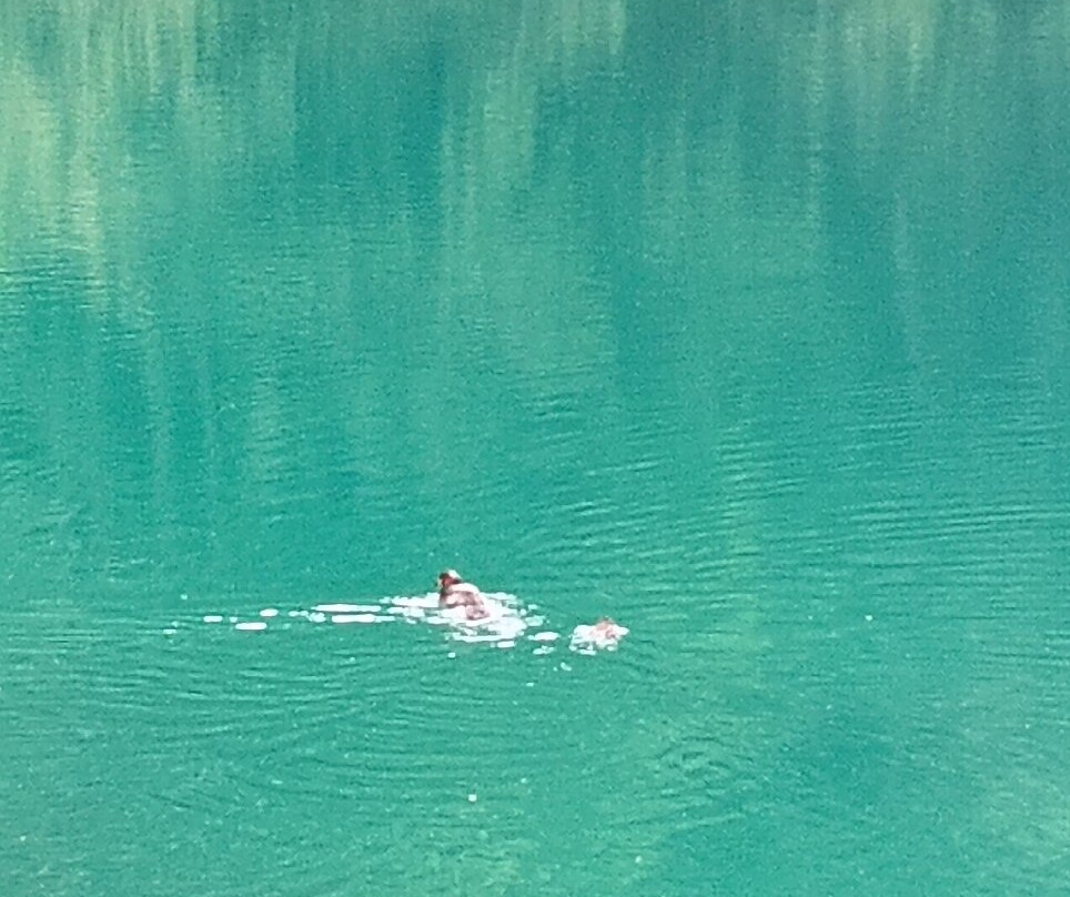 Lago Di Tovel-Tuenno必去景点