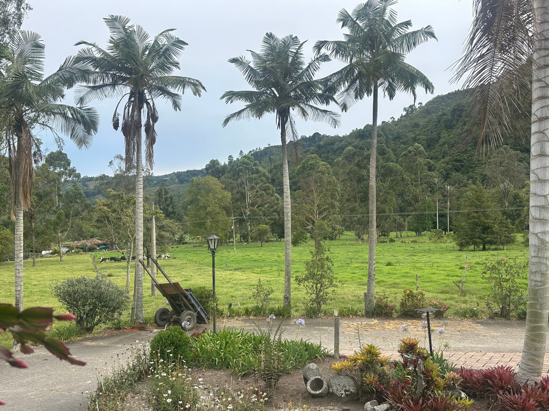 Reserva Guadalajara - Cocora Valley主图