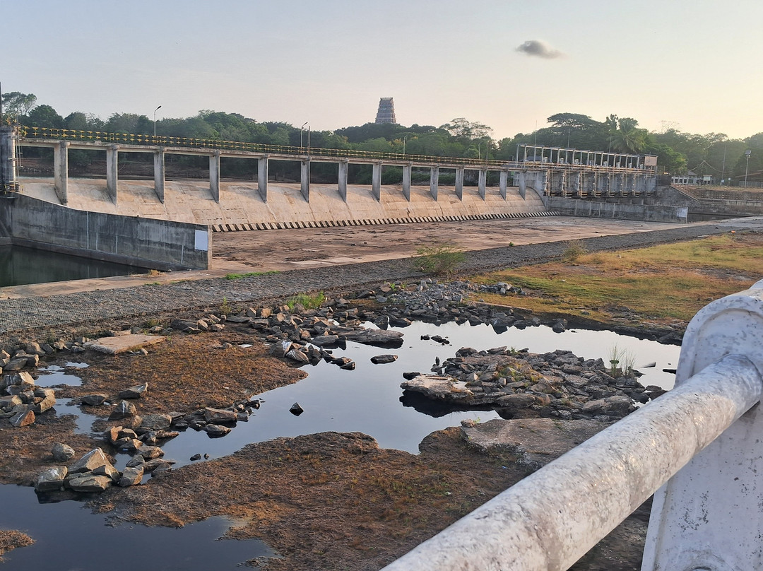 Iranamadu Tank-Ampakamam必去景点