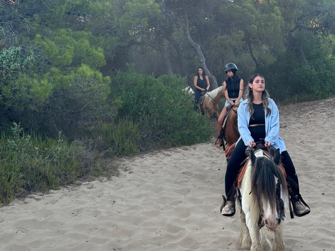Family Horses 373-5361953-Marina di Ginosa必去景点
