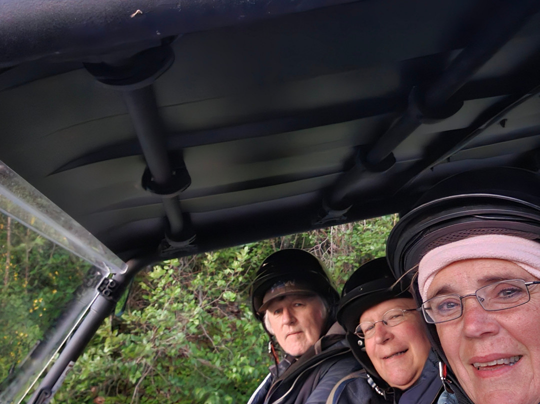 Mount Musgrave ATV Tours-Steady Brook必去景点