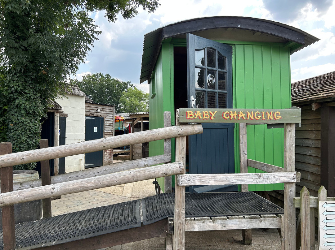 Dorset Heavy Horse Farm Park-Verwood必去景点