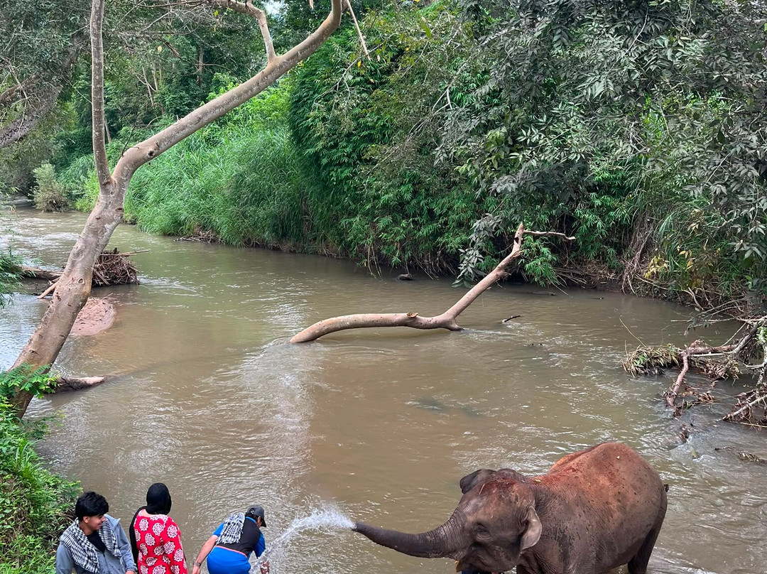 Elephant Sanctuary Care Park-清迈必去景点
