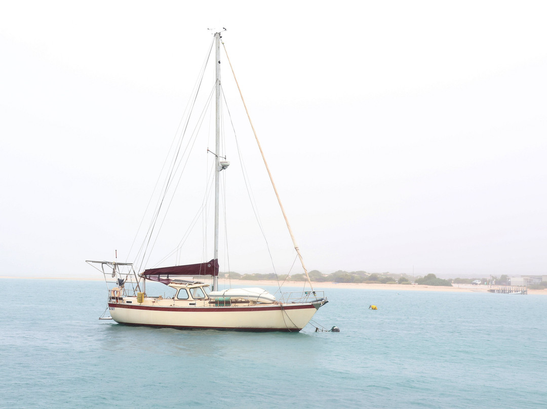 Perfect Nature Cruises-Monkey Mia必去景点