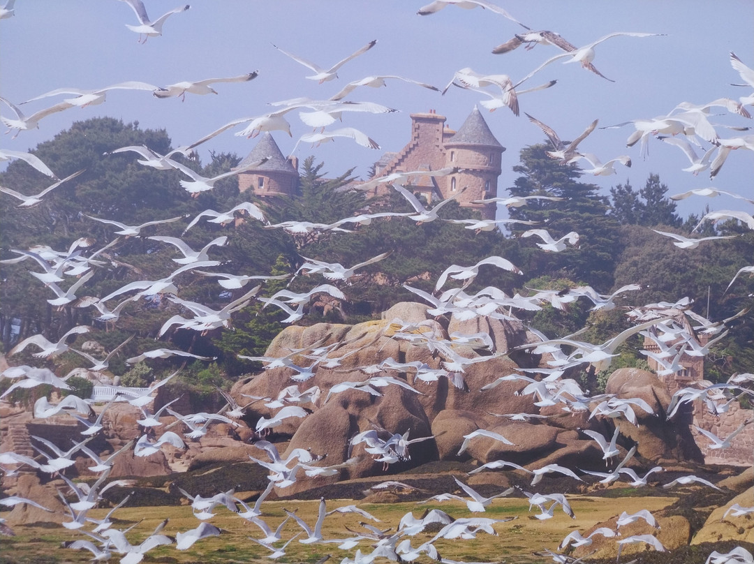 Réserve Naturelle des Sept Îles-皮若斯必去景点