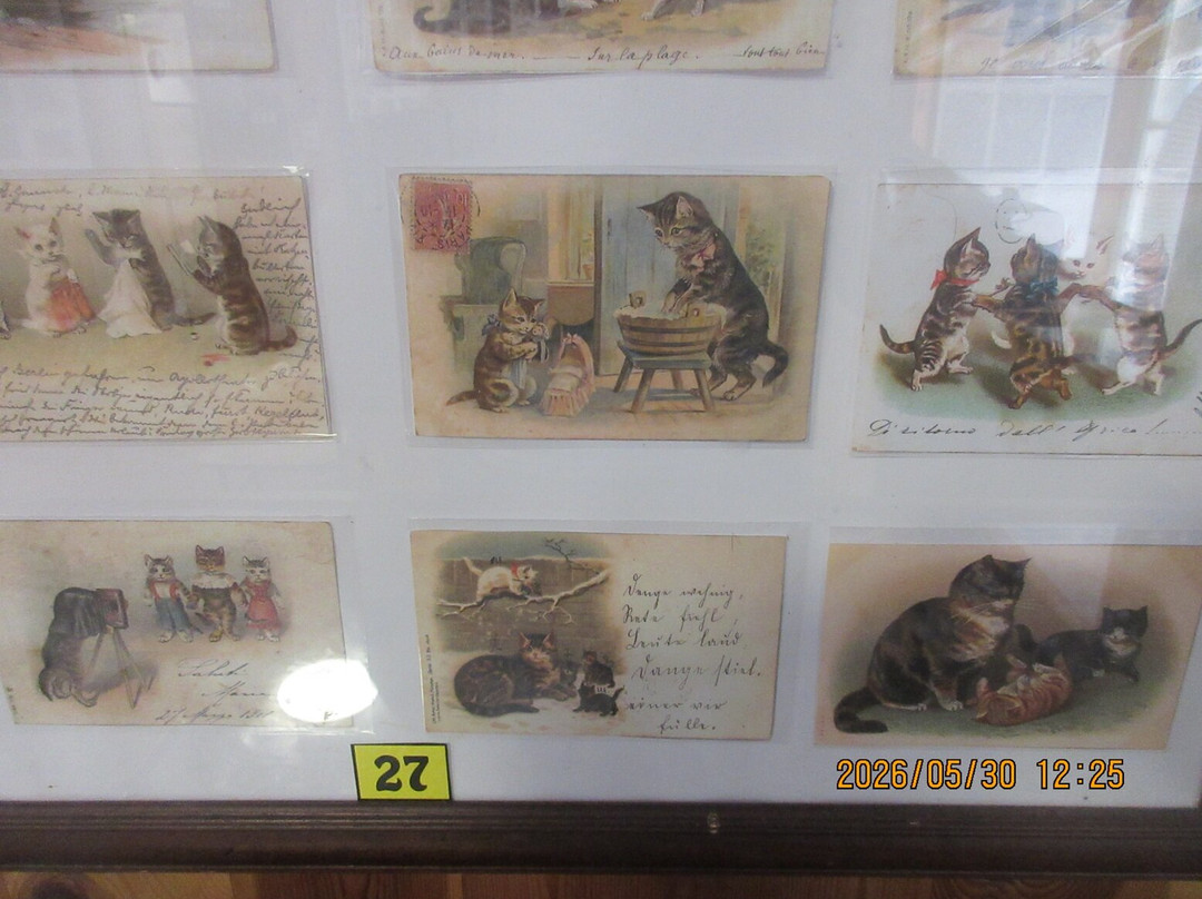 Cats Museum-科托尔必去景点