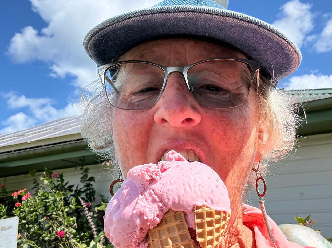 Mungalli Creek Dairy Farm-Millaa Millaa必去景点