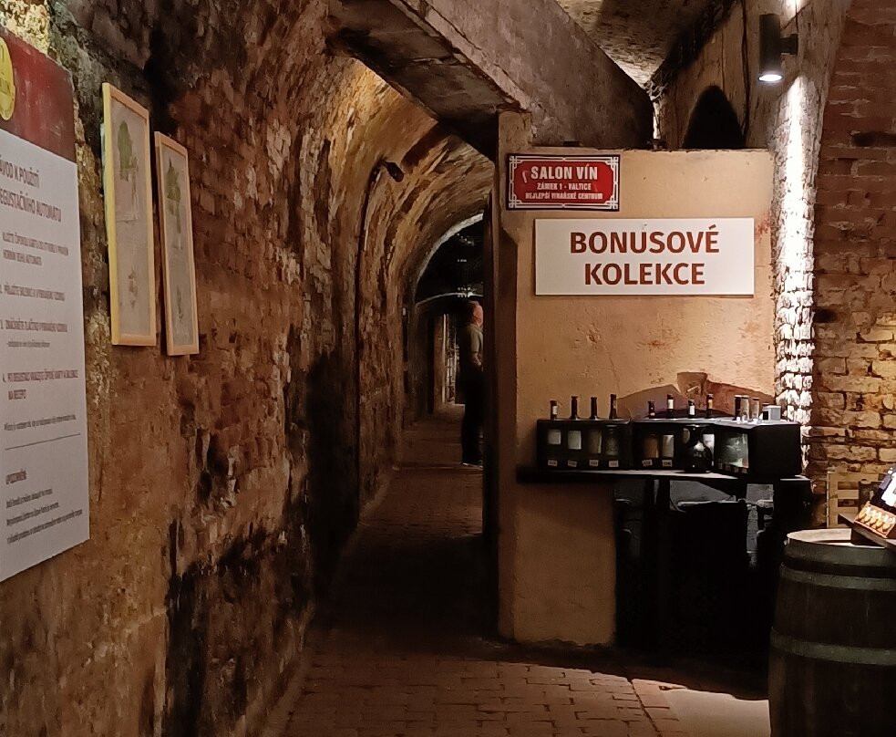 National Wine Salon (Národní salon vín)-Valtice必去景点