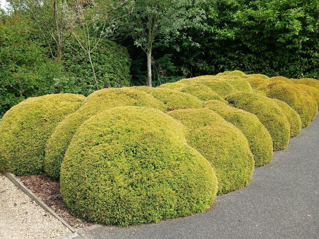 Breezy Knees Gardens-约克必去景点