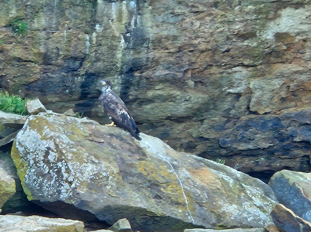 Bird Island Boat Tour-Big Bras d'Or必去景点