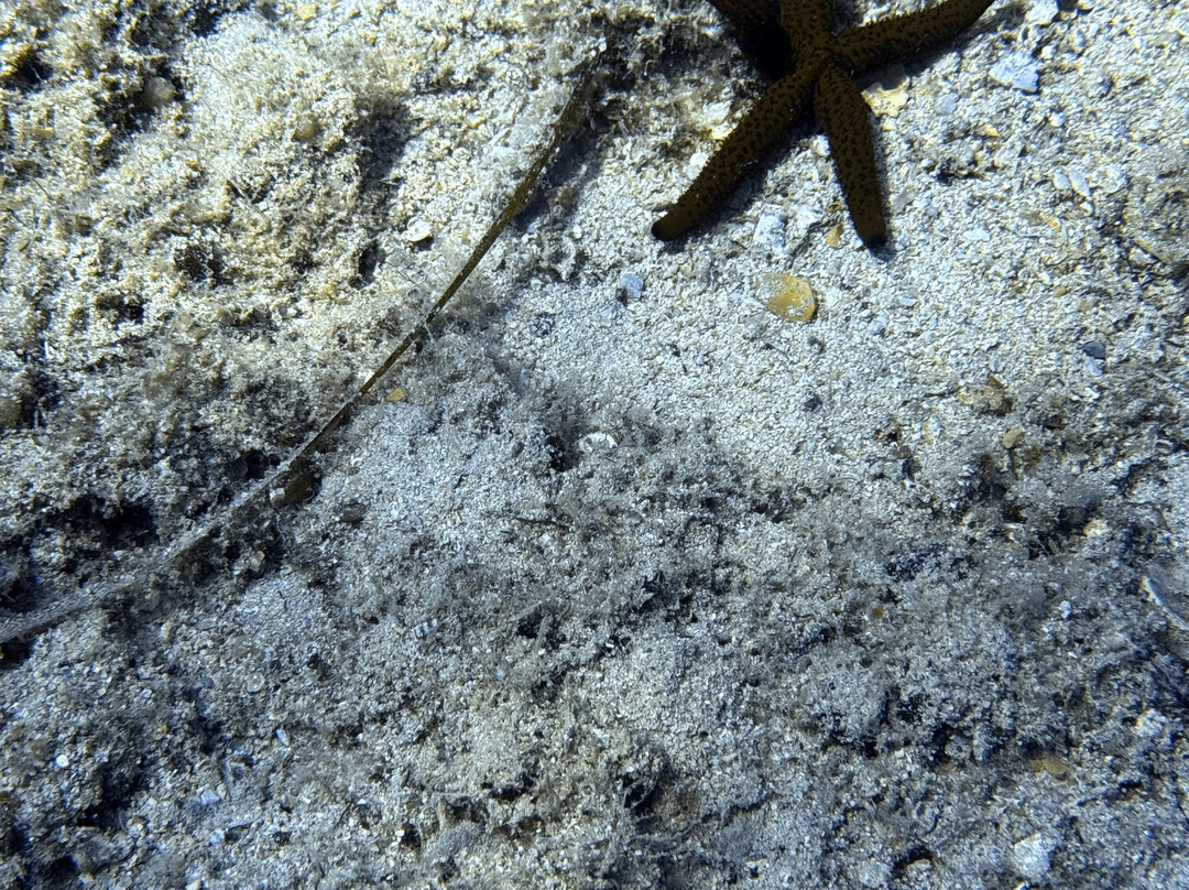 Lefkas Diving Centre-Nikiana必去景点
