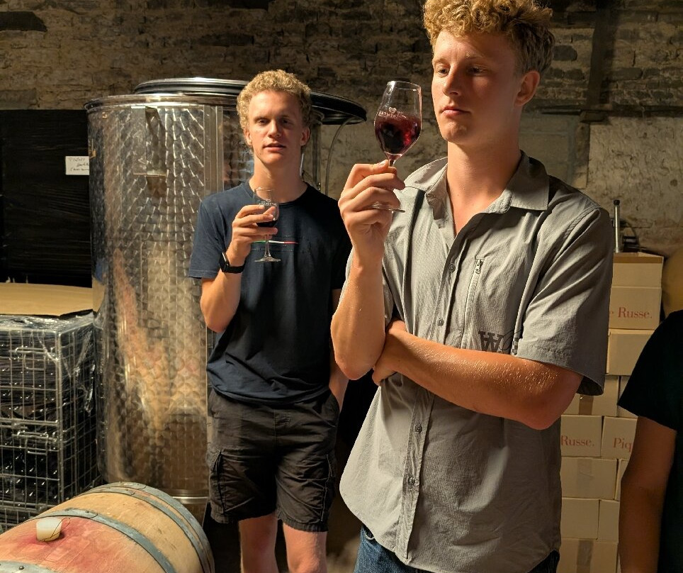 Pique Russe Vineyard-Gourvillette必去景点